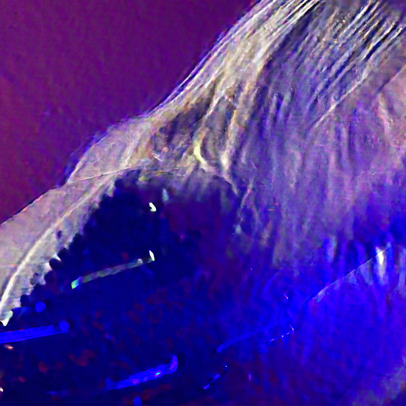 Close up of Kim Gordon Performance at FW:B music festival